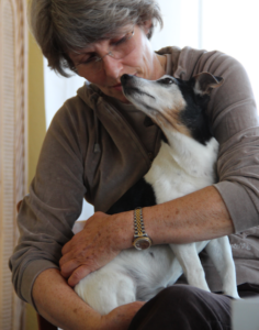 (Français) Tellington TTouch pour vous et pour votre chien senior chez Animalin / Gers @ Animalin