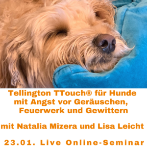 "Tellington TTouch für Hunde mit Angst vor Geräuschen, Feuerwerk und Gewittern" Live Online Seminar
